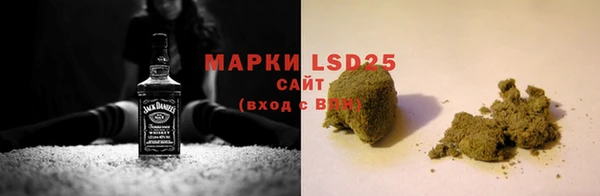 ПСИЛОЦИБИНОВЫЕ ГРИБЫ Ладушкин