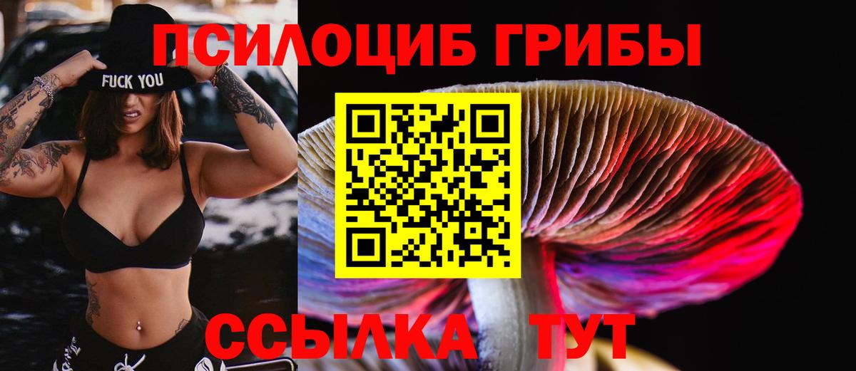 Галлюциногенные грибы GOLDEN TEACHER Муравленко