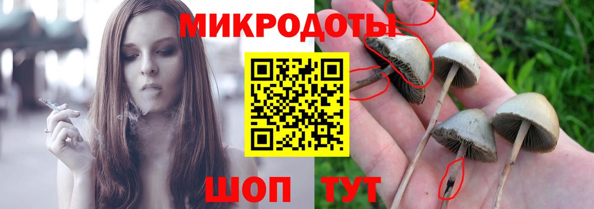 Псилоцибиновые грибы GOLDEN TEACHER  Галлюциногенные грибы Magic Shrooms  Вход с VPN  Муравленко 